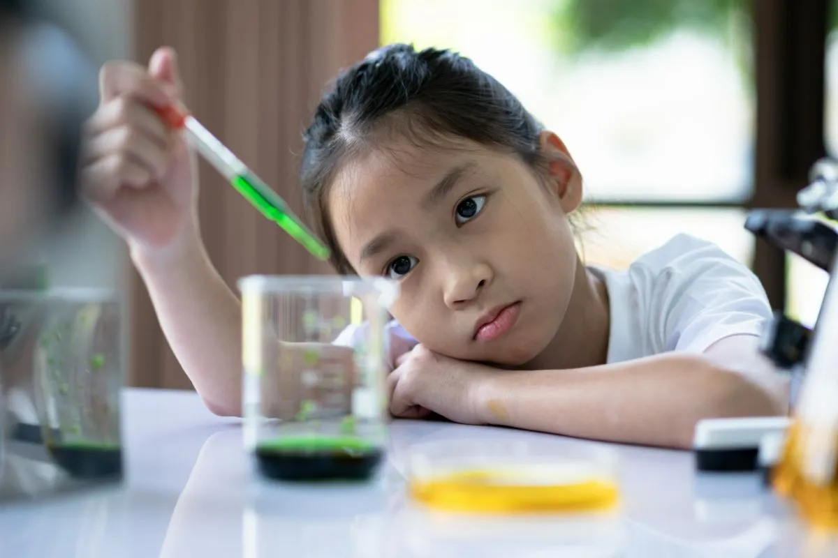 Hands-on, experiential learning