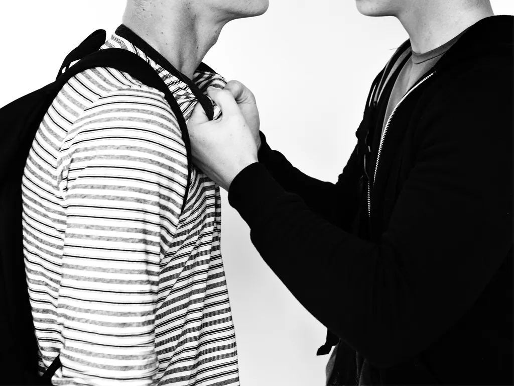 Aggression Arguing Conflict Stress Fight